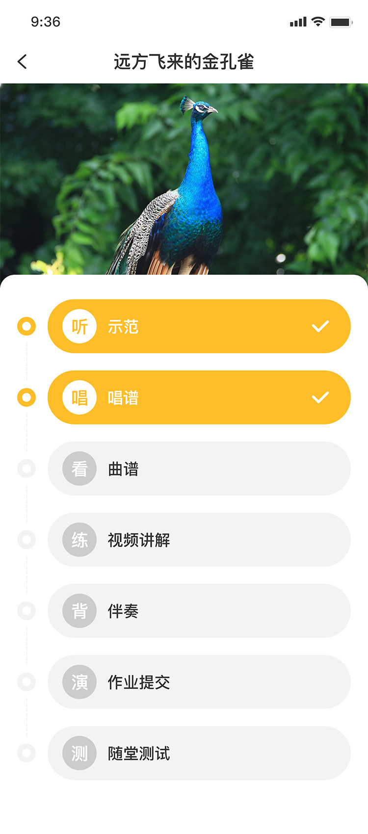 遠(yuǎn)方飛(fēi)來(lái)的(de)金(jīn)孔雀 – 課程內(nèi)容.jpg